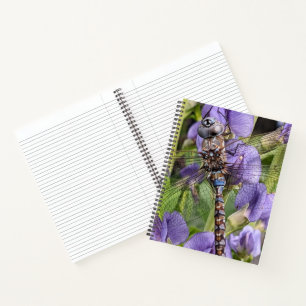 Libellen-Libelle mit blauen Augen auf einer Blume Notizbuch