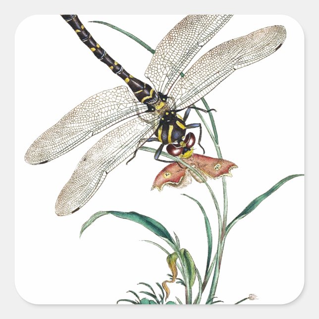 Libellen-Magie Quadratischer Aufkleber (Vorderseite)