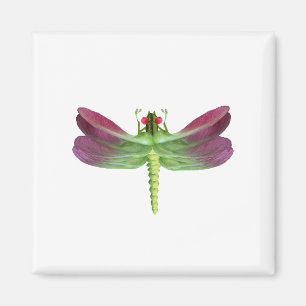 Libellen Magnet