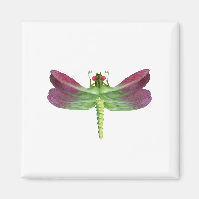 Libellen Magnet (Vorne)