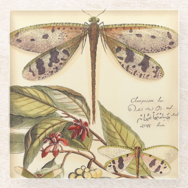 Libellen mit Blätter und Obst Glasuntersetzer (Vorderseite)