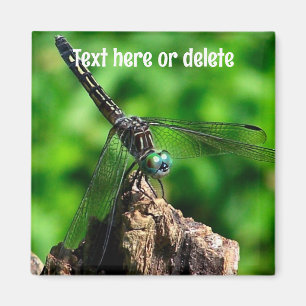 Libellen-Natur Personalisiert Magnet