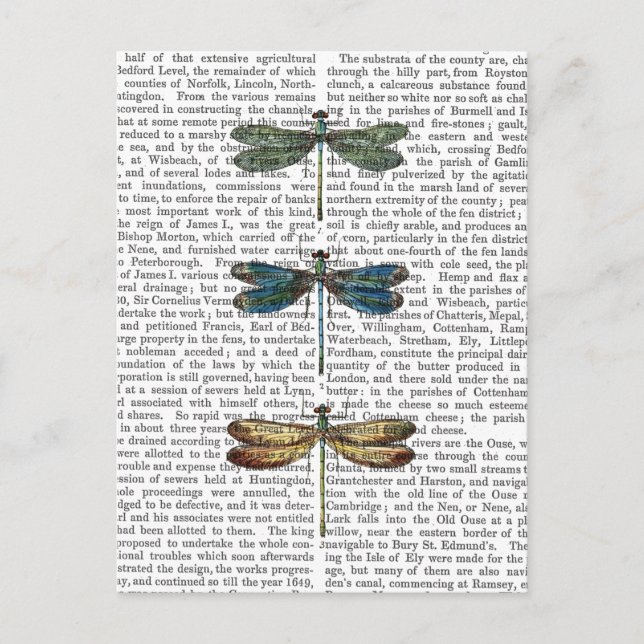 Libellen Print 2 Postkarte (Vorderseite)