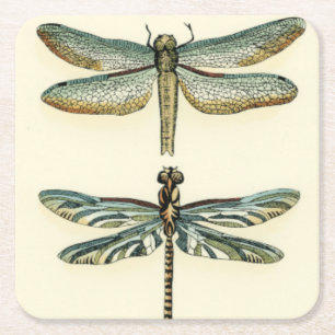 Libellen-Sammlung durch Chariklia Zarris Rechteckiger Pappuntersetzer
