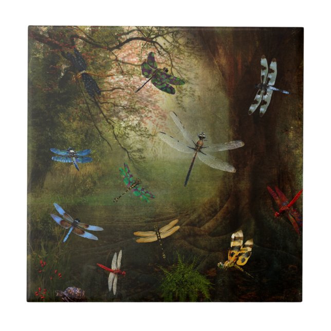 Libellen-Spielplatz Fliese (Vorderseite)