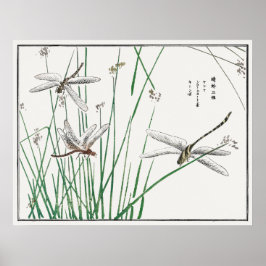 Libellen und Schilfgras von Morimoto Toko, Poster