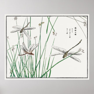 Libellen und Schilfgras von Morimoto Toko, Poster