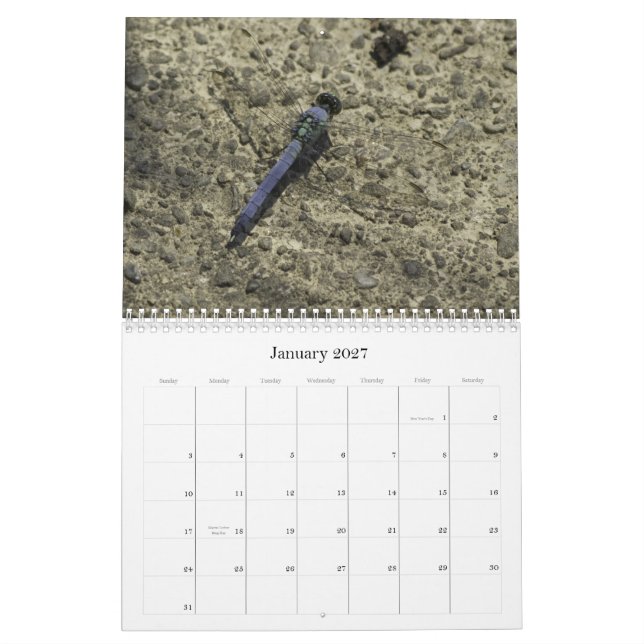 Libellen und Wasserlilien Kalender (Jan 2027)