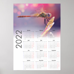 Libellenkalender 2022 Poster - Montag start
