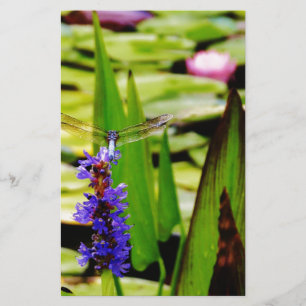 Libellenlotus und lila Blume Briefpapier