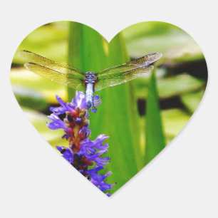 Libellenlotus und lila Blume Herz-Aufkleber