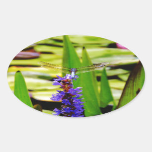 Libellenlotus und lila Blume Ovaler Aufkleber