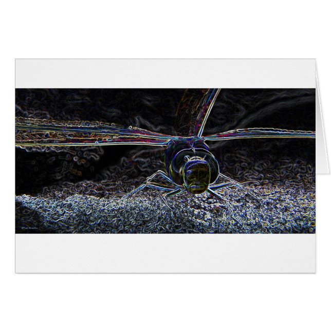 Libellenneon 2 (Vorderseite (Horizontal))