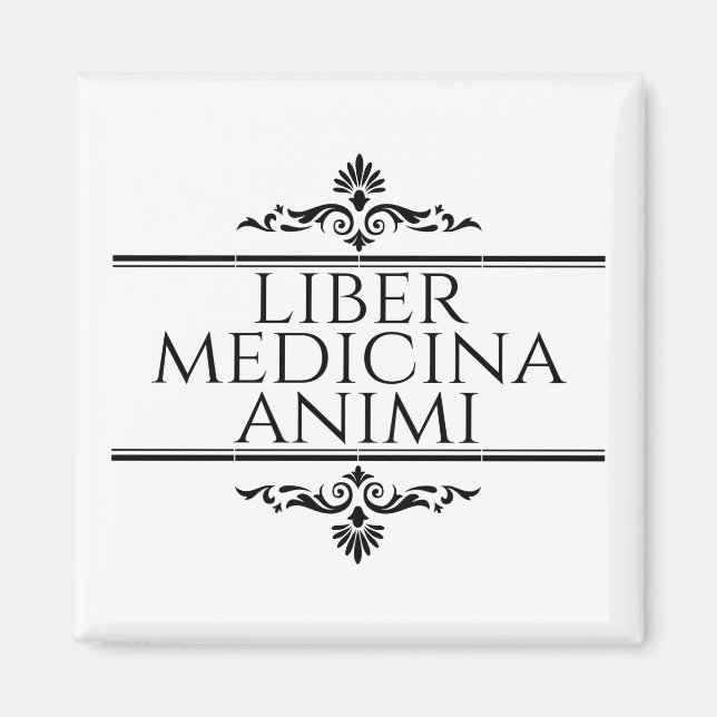 Liber Medicina Magnet (Vorne)