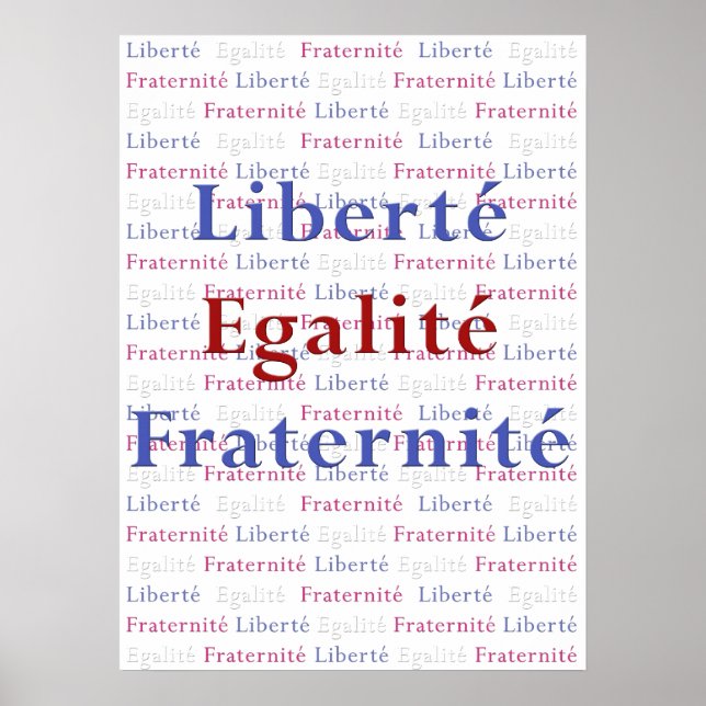 Liberte Egalite Fraternite Poster - Viva La France (Vorne)