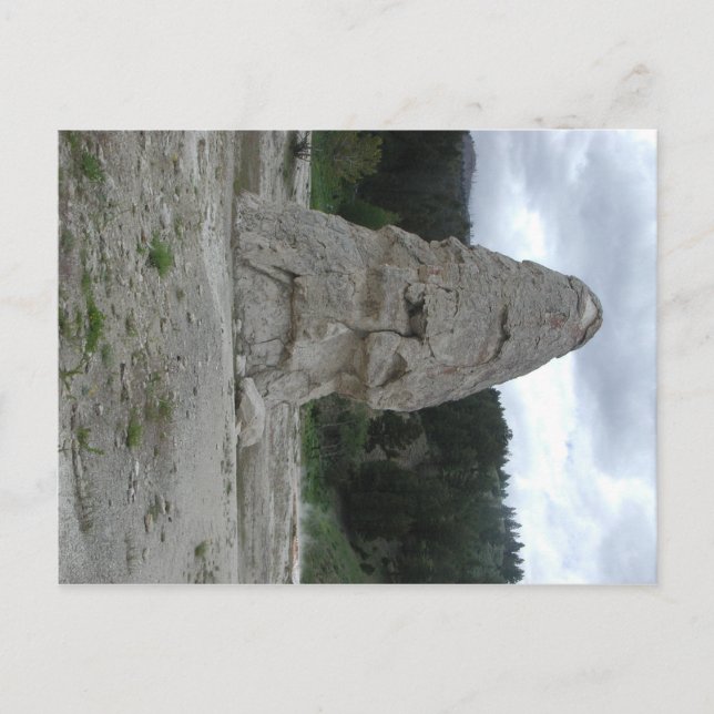 Liberty Cap Postkarte (Vorderseite)