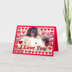 LIBERTY HUND STORE DACKEL VALENTINE CARDS - GESCHE FEIERTAGSKARTE