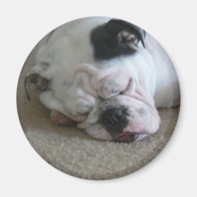 Liberty-Magnet Magnet (Vorne)