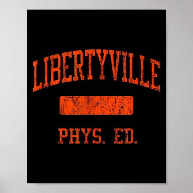 Libertyville High School Hs Libertyville Il Phys E Poster (Vorne)