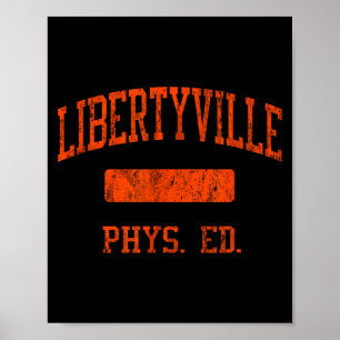 Libertyville High School Hs Libertyville Il Physik Poster