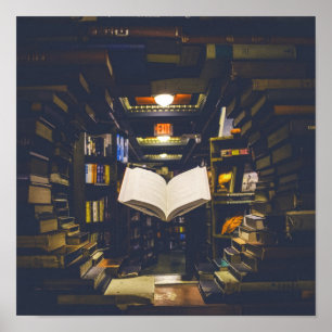 Library Books Shelves Open Book Read Poster