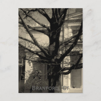 Library, Branford, Ct Postcard Postkarte