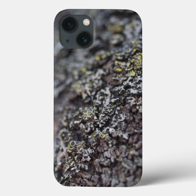 Lichen auf Bark Case-Mate iPhone Hülle (Rückseite)