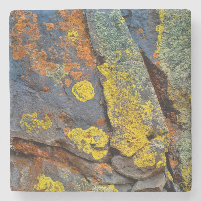 Lichen Covered Rocks Steinuntersetzer (Vorderseite)
