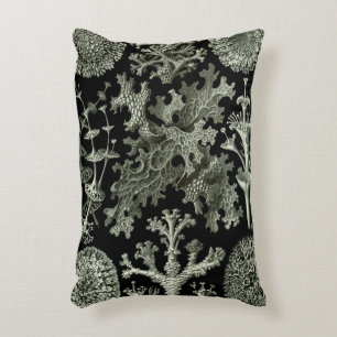 Lichen von Ernst Haeckel, Pflanze für Vintage Natu Dekokissen