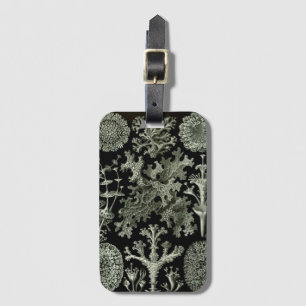 Lichen von Ernst Haeckel, Pflanze für Vintage Natu Gepäckanhänger