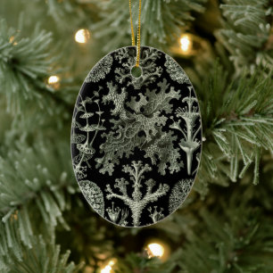 Lichen von Ernst Haeckel, Pflanze für Vintage Natu Keramik Ornament