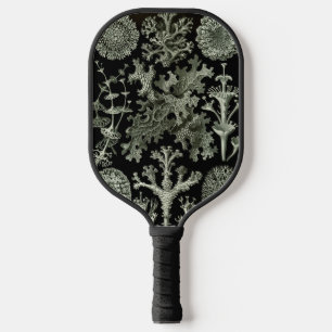 Lichen von Ernst Haeckel, Pflanze für Vintage Natu Pickleball Schläger