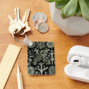 Lichen von Ernst Haeckel, Pflanze für Vintage Natu Schlüsselanhänger