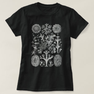 Lichenes Flechten T - Shirt