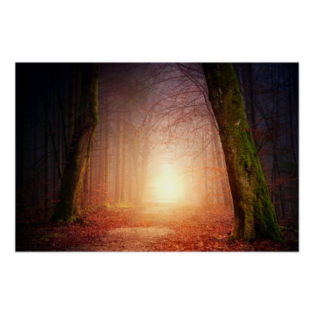 Licht am Ende des Waldes Poster (Vorderseite)