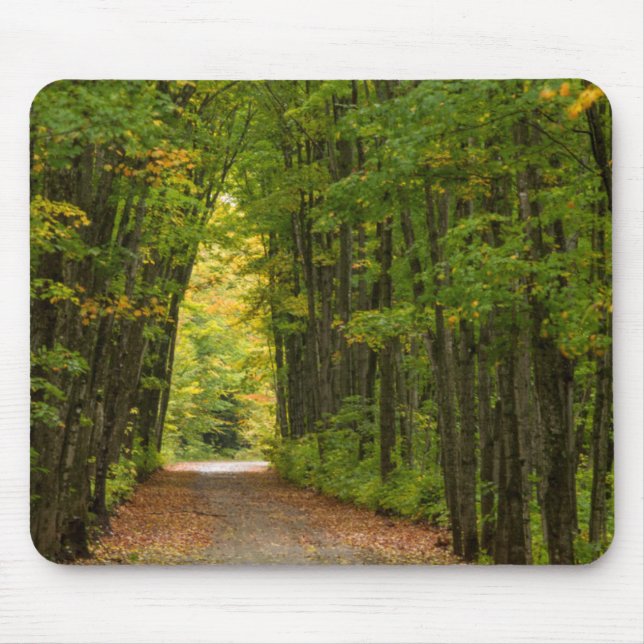 Licht am Ende eines Baumtunnels Mousepad (Vorne)