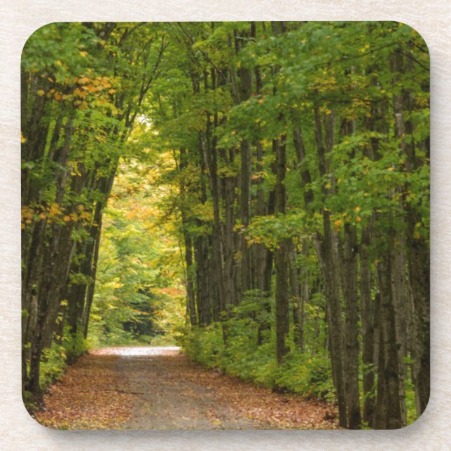Licht am Ende eines Baumtunnels Untersetzer (Vorderseite)