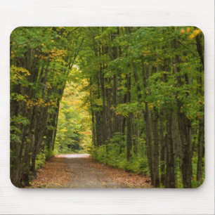 Licht am Ende eines Tunnels aus Bäumen Mousepad