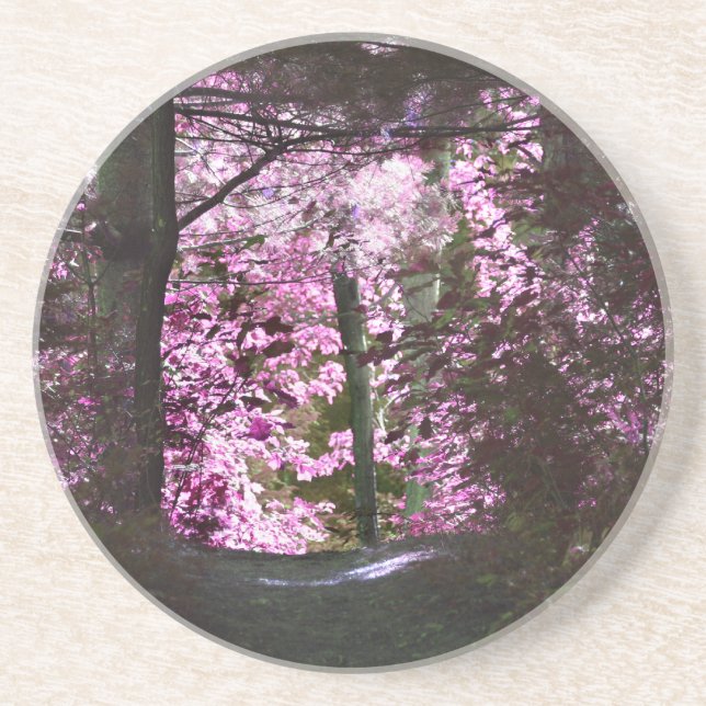 Licht auf den Pfade-Natur-Untersetzer Untersetzer (Vorne)