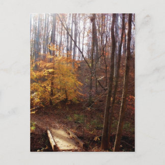 Licht auf meinen Weg Postkarte