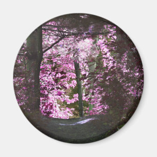 Licht auf Weg-Natur-Magneten Magnet