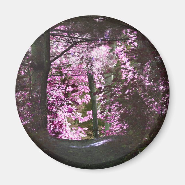 Licht auf Weg-Natur-Magneten Magnet (Vorne)