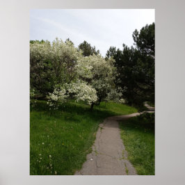 Licht, Dunkel und gegensätzliche Seiten Poster