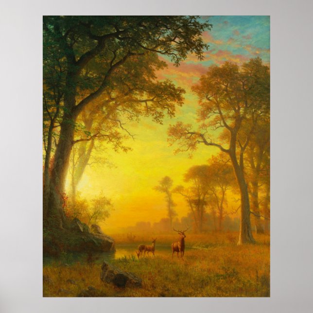 Licht im Wald Poster (Vorne)
