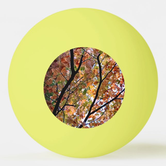 Licht in den Blätter Tischtennisball (Vorderseite)