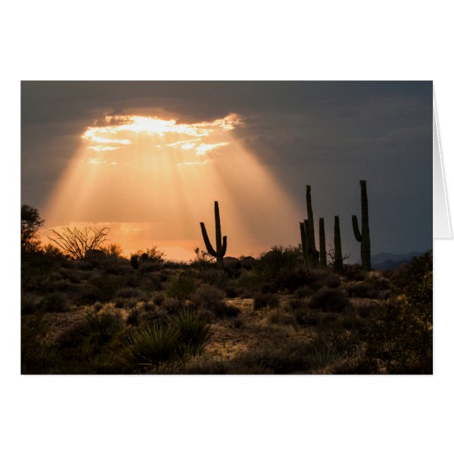 Licht in der Wüste (Vorderseite (Horizontal))