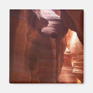 Licht rein magnet