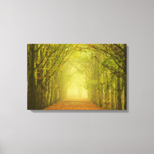Licht Tunnel Leinwanddruck