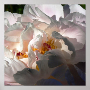 Licht u. Schatten 2 Poster