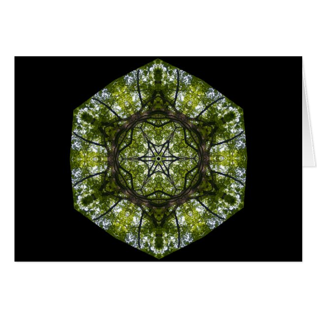 Licht und Muster im Blätter (Vorderseite (Horizontal))